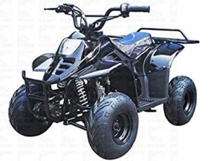 TAO TAO 110CC Gas ATV For Kids