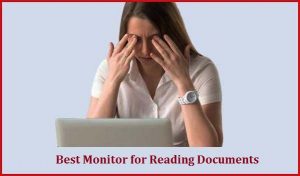 best monitor for Reading documents